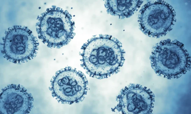 OMS, report Hantavirus: 11 casi (8 confermati) e 3 morti sulla Mv Hondius
